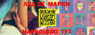 стаф Брянск
