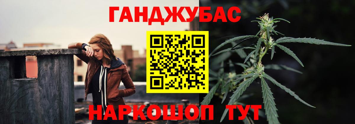 Каннабис сатива Баксан